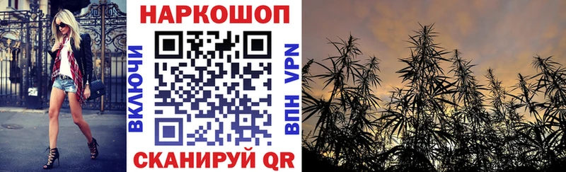 Купить Похвистнево Канабис  Codein  Гашиш  Альфа ПВП  Псилоцибиновые грибы 