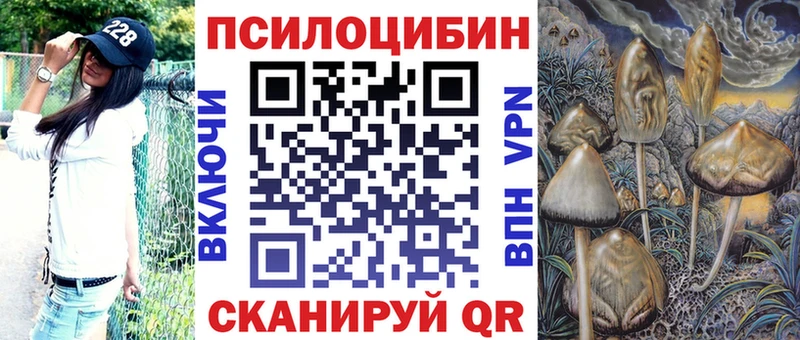 наркошоп  Похвистнево  Галлюциногенные грибы Cubensis 